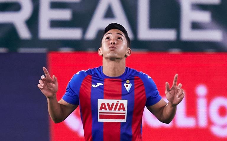 Cá Heo Link